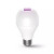 LED lámpa , égő szett , UV-C fertőtlenítéssel , 2 db x E27 , 2 x 8W , meleg fehér , 59S , SunClean