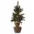 LED dekoráció , beltéri , karácsonyfa , elemes , 20 db led , 52 cm , meleg fehér , időzíthető